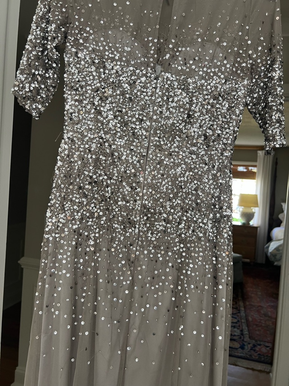 Adrianna Papell Taupe Evening Gown with Silver Sequins - Picture 3 of 4